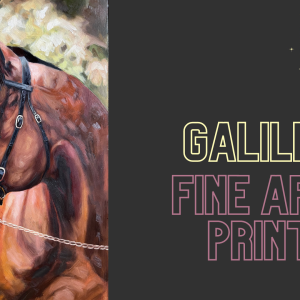 Galileo Fine Art Print