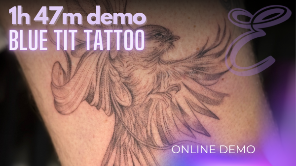 Demo - Blue tit DEMO